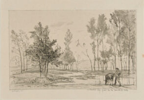 The Donkey at the Watering Place