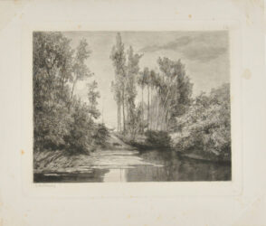 Stags at the Water’s Edge