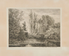 Stags at the Water’s Edge