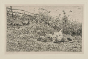 The Hen and Her Chicks