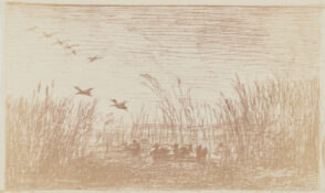 Le Marais aux canards