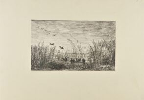 Le Marais aux canards