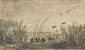 Le Marais aux canards