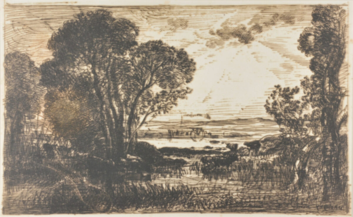 THE HYDRAULIC MACHINE