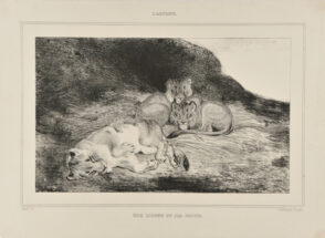 Une Lionne et ses petits