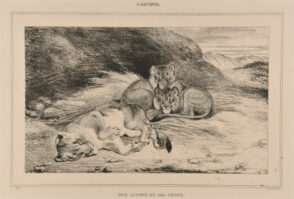 Une Lionne et ses petits