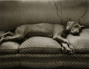 Xenar, Mt. Airy, Md.