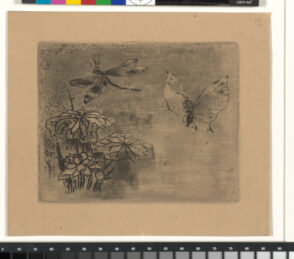 Ex-Libris: Papillon et Libellule