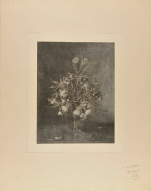 Vase of Red and White Carnations