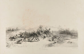 Canards au bord de l’eau