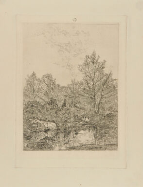 Three Deer in Forest by a Pool