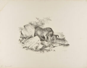 La Jument et son poulain