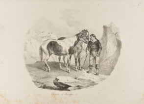 Chevaux d’ Auvergne