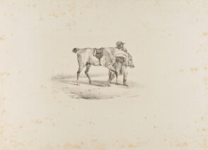 Cheval que l’on promène avant la course