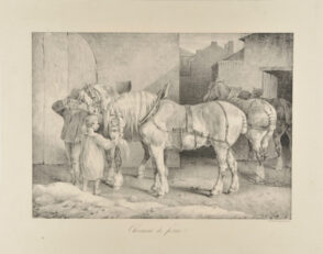 Chevaux de ferme