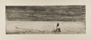 Corbeau sur une pierre dans une étendue neigeuse