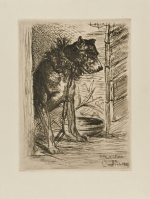 Une victime de l’arbitraire