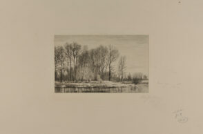 Landscape with trees and pond in winter