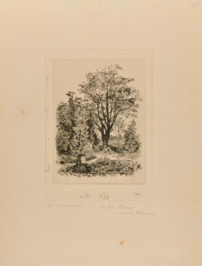 Dans mon jardin à Bordeaux