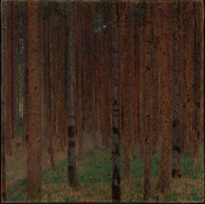 Pine Forest II