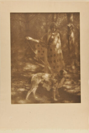 Blotches of Sunlight and Spots of Ink