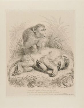 “–now will canker Sorrow eat my bud”