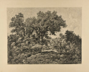 La Hutte – Forêt de Fontainebleau