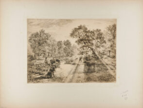 Boeufs traversant une mare