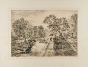 Boeufs traversant une mare