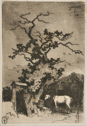 Horse Standing under a Tree