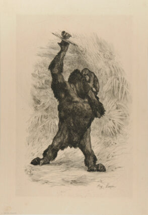 Orang-outang de Borneo