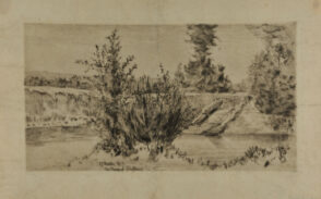 Two Stumps of Driftwood