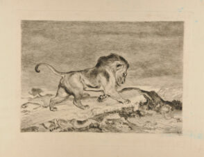 Lion et Serpent