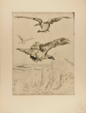 Sommets d’Auvergne