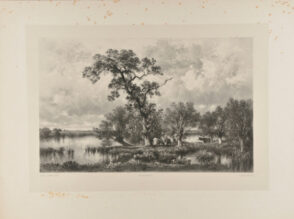 Cattle Grazing by a River