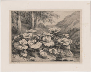 Les petits tussilages