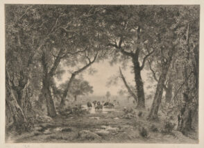 Cattle Grazing in a Clearing near a Woods