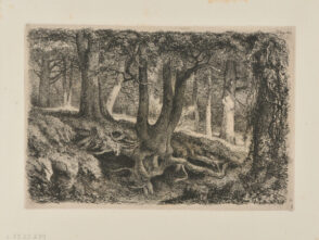 L’Arbre aux racines