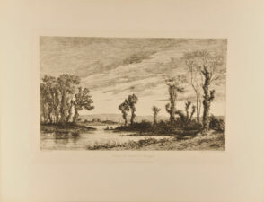 Etang de Fayelles (Bretagne)