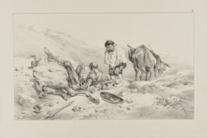 Don Quixote, ill. #12