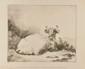 Cow Seated (seen from the back with head raised)