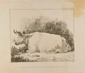 Cow Seated (seen from the back)