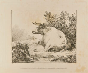 Cow Seated (seen lengthwise)