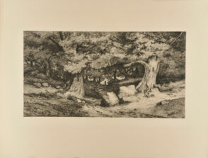 Environs du Château Gontier