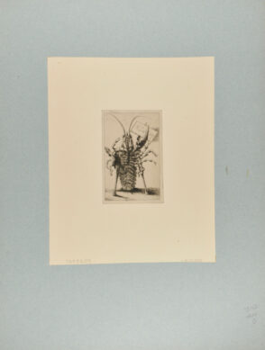Carte de Visite, with Lobster on Crutches