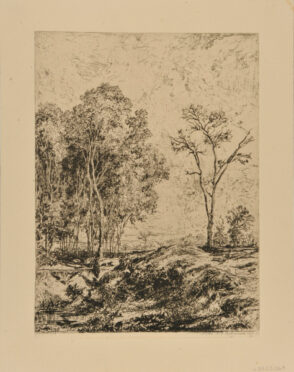 Landscape: Clump of Trees on the left and single tree on the right with small ravine in between