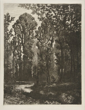 Hunter in the Forest