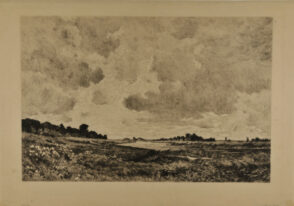 Marshy Landscape with Cloudy Sky