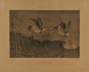 Bécasses / La Croûle