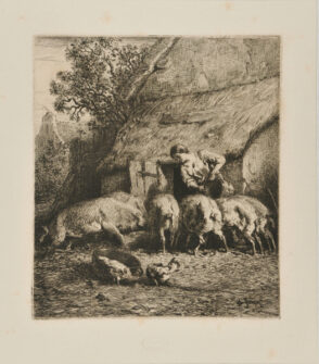 Femme donnant à manger à des porcs